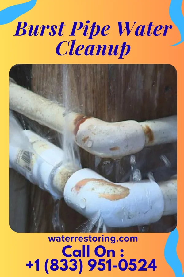 Burst Pipe Water Cleanup in Edina, MN
