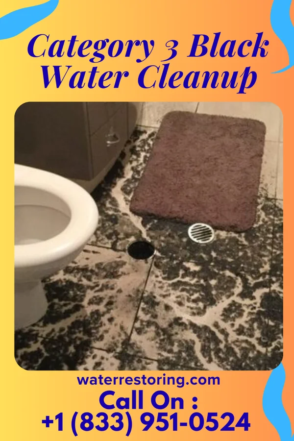 Category 3 Black Water Cleanup in Edina, MN