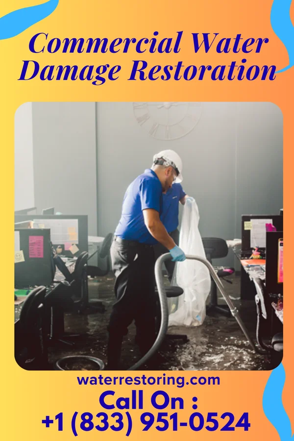 Commercial Water Damage Restoration in Edina, MN