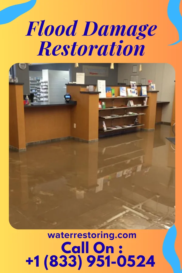 Flood Damage Restoration in Edina, MN