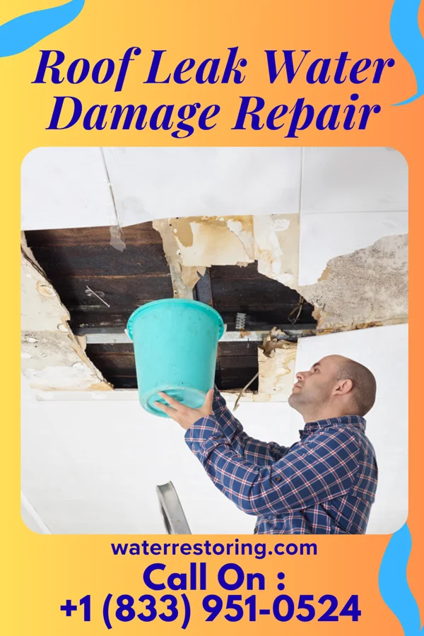 Roof Leak Water Damage Repair in Edina, MN