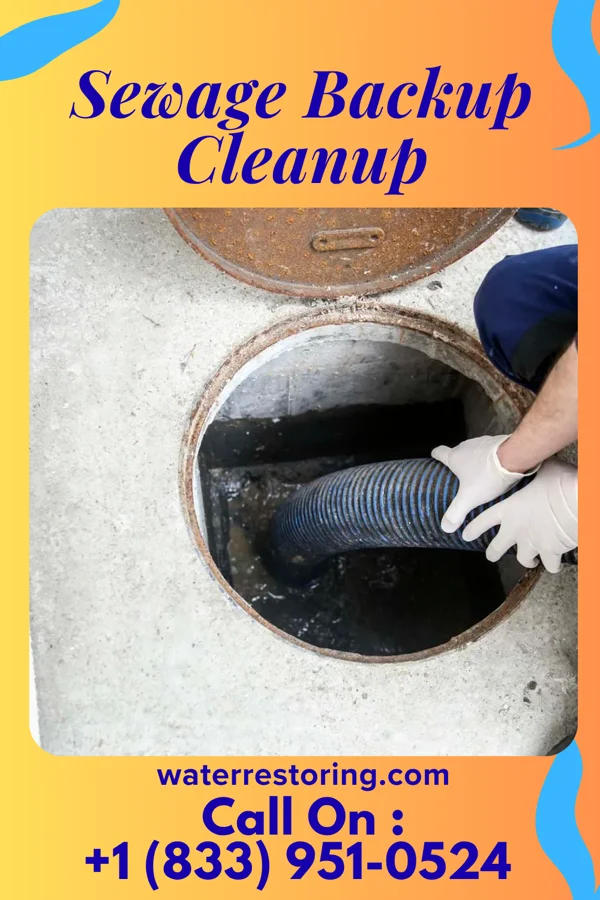Sewage Backup Cleanup in Edina, MN