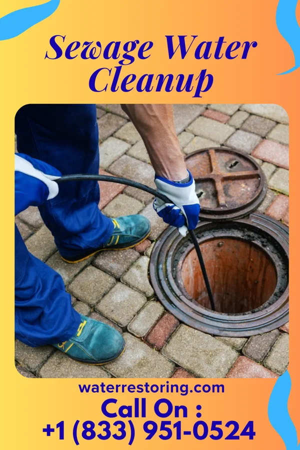 Sewage Water Cleanup in Edina, MN