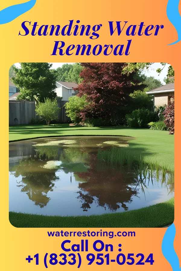 Standing Water Removal in Edina, MN